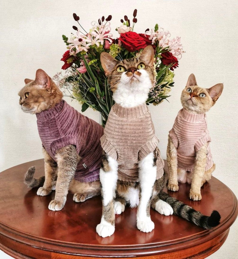 Kotomoda CAT WEAR t-shirt Corduroy