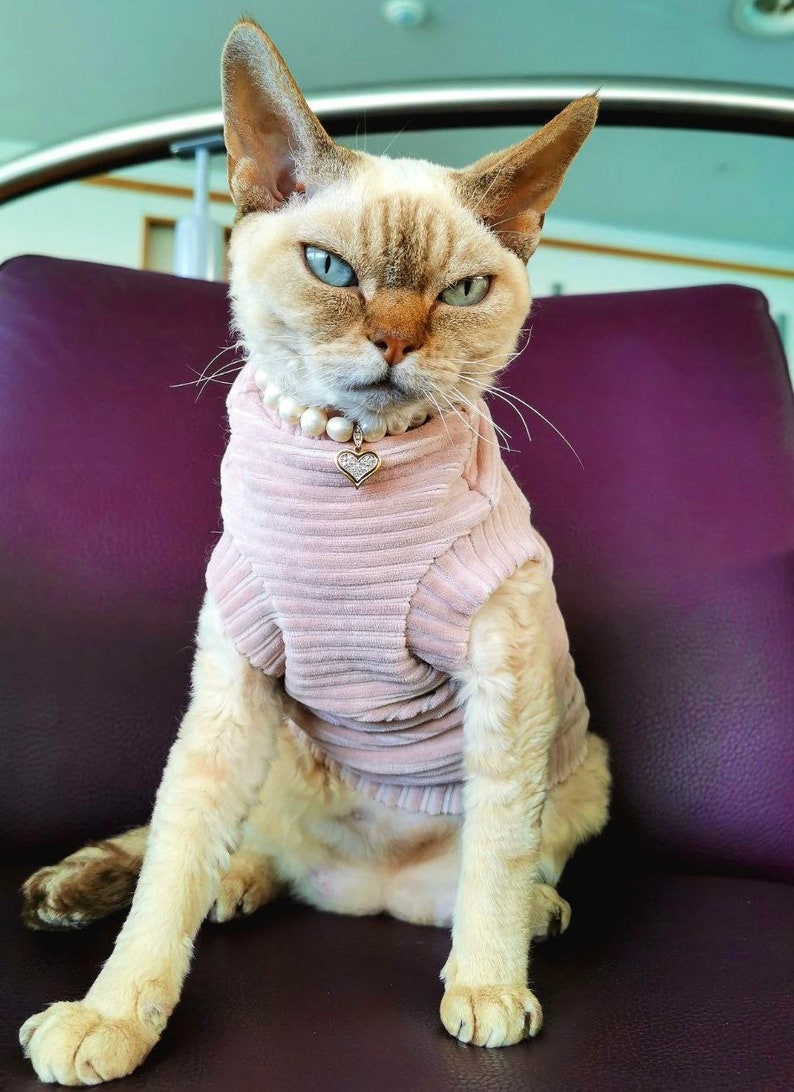 Kotomoda CAT WEAR t-shirt Corduroy