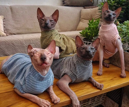 Kotomoda CAT WEAR t-shirt Corduroy
